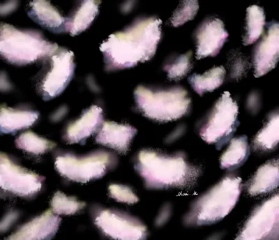 重力ーGravity
花が散っていくという内容の歌詞の歌を聴きながら、ふわふわのわたが落ちていく様子を描きました。描いていくうちに花というよりもわただろうなと感じました。ぼかしなどを使って、優しくやわらかく舞いながら落ちていくのを表現しました。