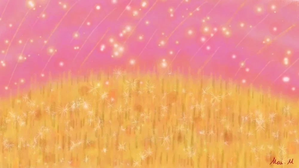星降る畑ーStarry field