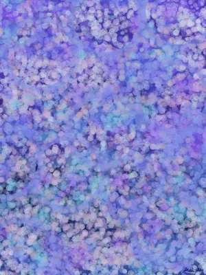雨季の花ーRainy Season Flowers