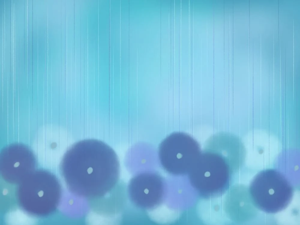 雨と傘ーRain and Umbrellas