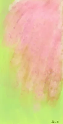 枝垂桜の夢ーDream of weeping cherry blossoms