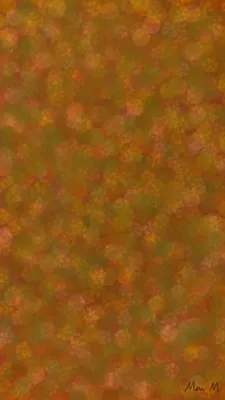 落ち葉ーFallen leaves