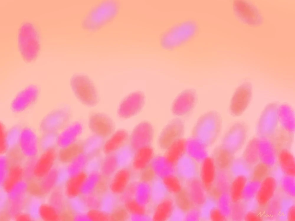 花びらーPetals