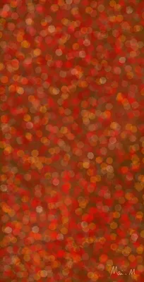 落ち葉ーFallen leaves