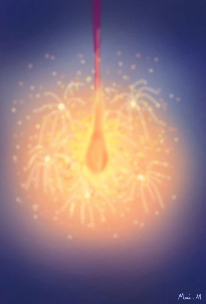 線香花火ーToy fireworks
