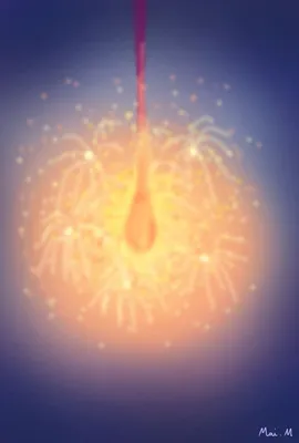 線香花火ーToy fireworks