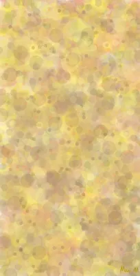 グラタンスープーGratin soup