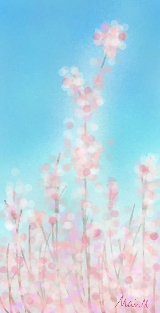 桜ーCherry blossoms
