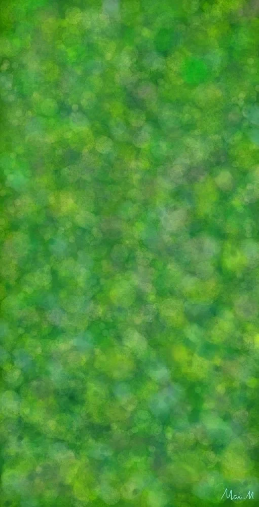 草っぱらーGrasslands  昔住んでいた家の近くにあるクローバーが敷き詰められて生えているところを描きました。丸い葉っぱが重なっているのを表現しました。よく幸せの四葉のクローバーを探した思い出があります。