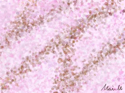 桜ーCherry blossoms