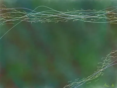 森の声ーVoice of the Forest