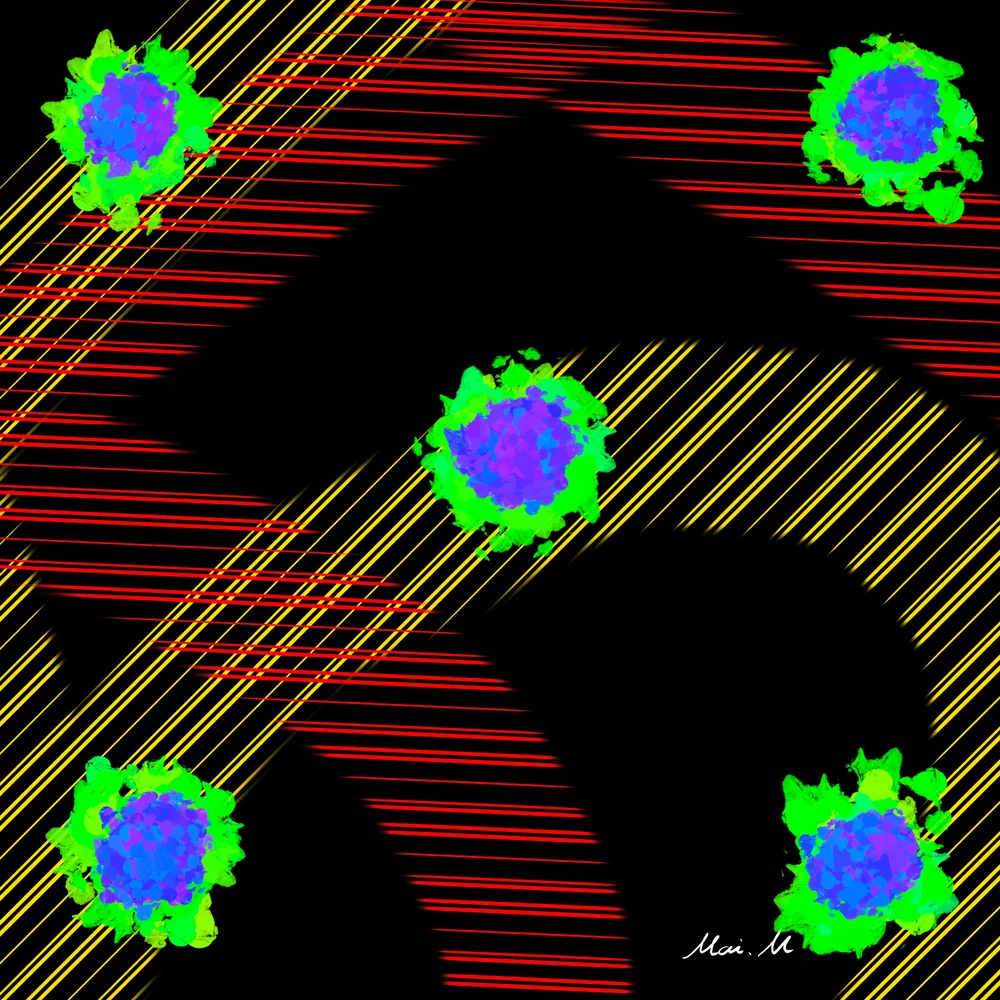 No.5