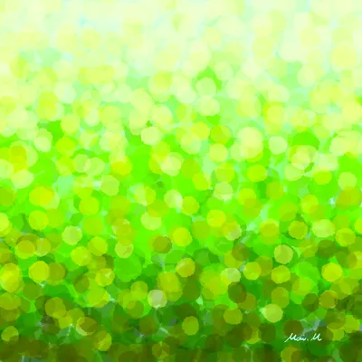 Rainy Meadow