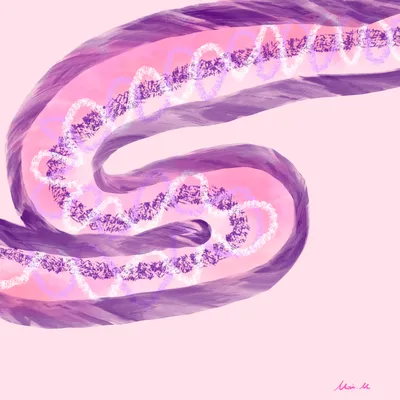 Endoscopy