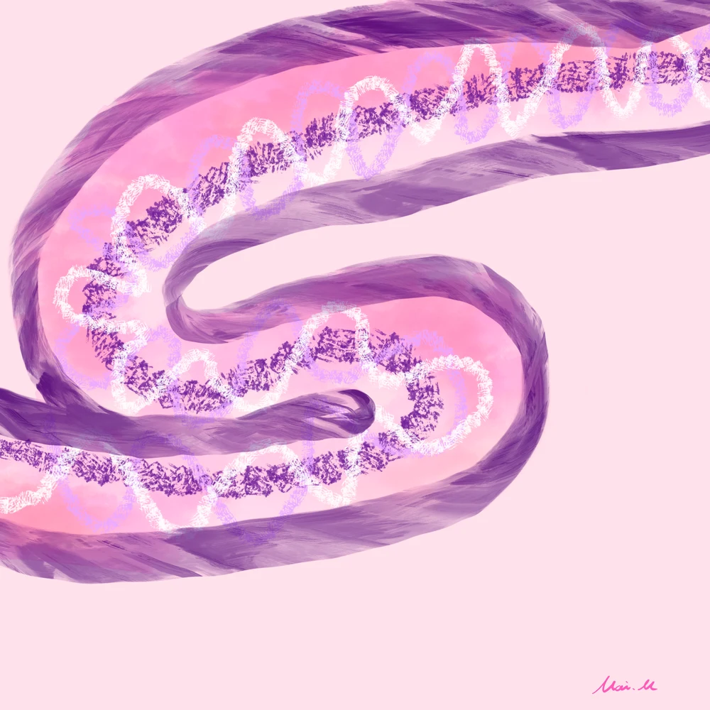 胃カメラーEndoscopy